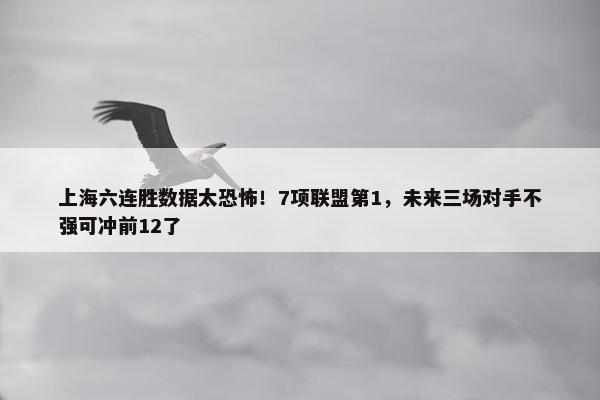 上海六连胜数据太恐怖！7项联盟第1，未来三场对手不强可冲前12了