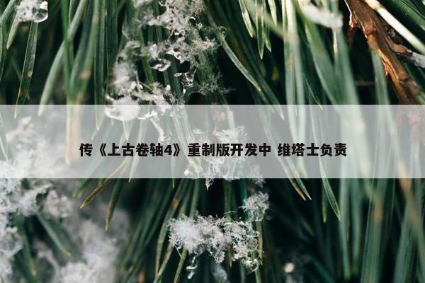 传《上古卷轴4》重制版开发中 维塔士负责