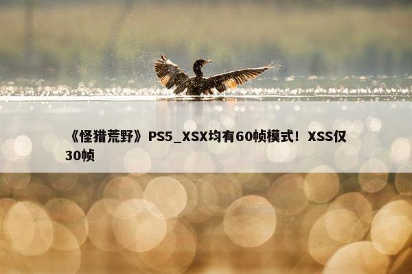 《怪猎荒野》PS5_XSX均有60帧模式！XSS仅30帧