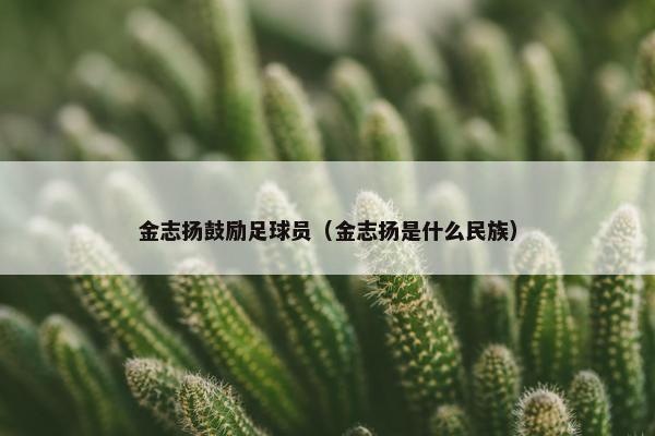 金志扬鼓励足球员（金志扬是什么民族）