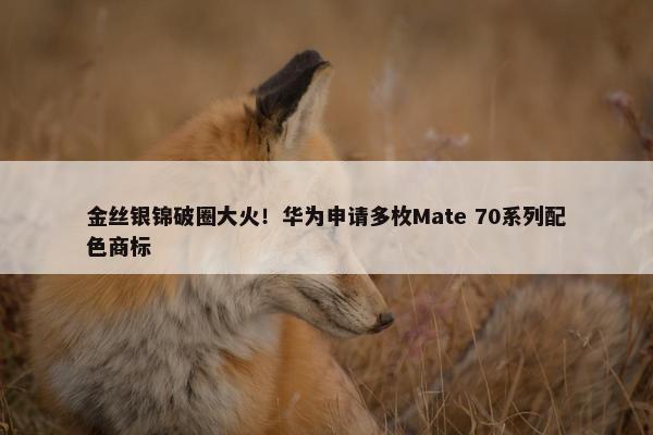 金丝银锦破圈大火！华为申请多枚Mate 70系列配色商标