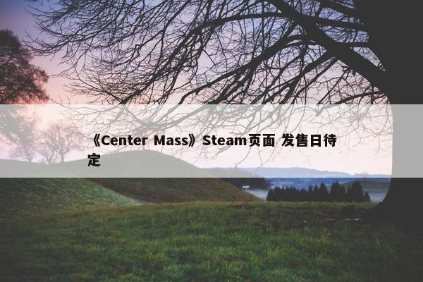 《Center Mass》Steam页面 发售日待定