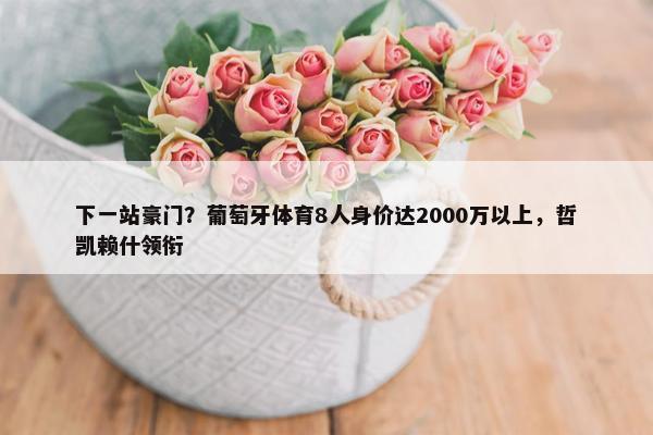 下一站豪门？葡萄牙体育8人身价达2000万以上，哲凯赖什领衔