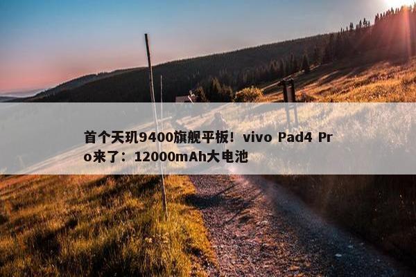 首个天玑9400旗舰平板！vivo Pad4 Pro来了：12000mAh大电池