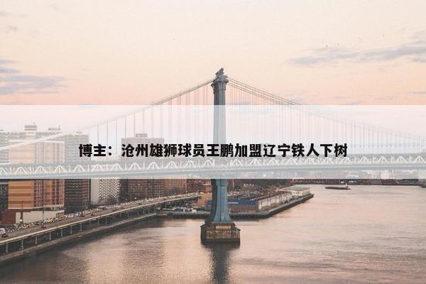 博主：沧州雄狮球员王鹏加盟辽宁铁人下树