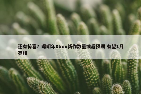 还有惊喜？曝明年Xbox新作数量或超预期 有望1月亮相