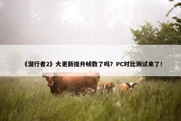 《潜行者2》大更新提升帧数了吗？PC对比测试来了！