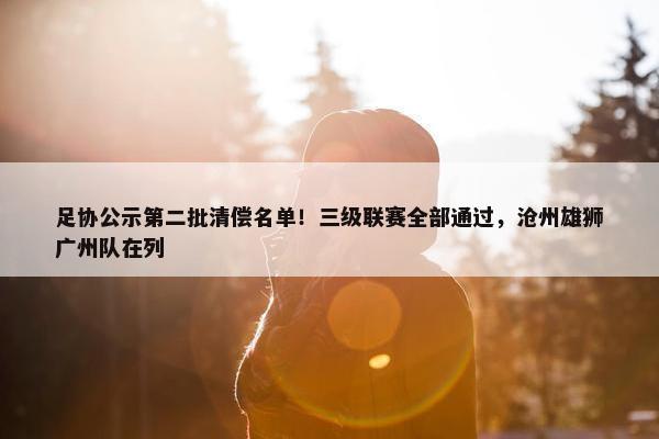 足协公示第二批清偿名单！三级联赛全部通过，沧州雄狮广州队在列