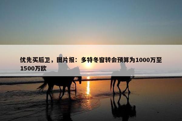 优先买后卫，图片报：多特冬窗转会预算为1000万至1500万欧