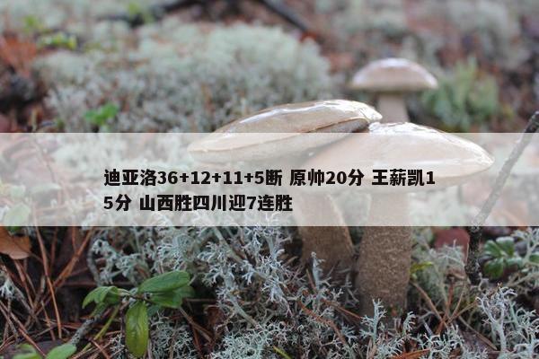 迪亚洛36+12+11+5断 原帅20分 王薪凯15分 山西胜四川迎7连胜