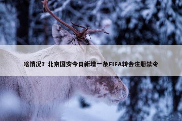 啥情况？北京国安今日新增一条FIFA转会注册禁令