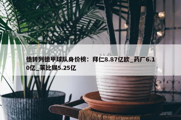 德转列德甲球队身价榜：拜仁8.87亿欧_药厂6.10亿_莱比锡5.25亿