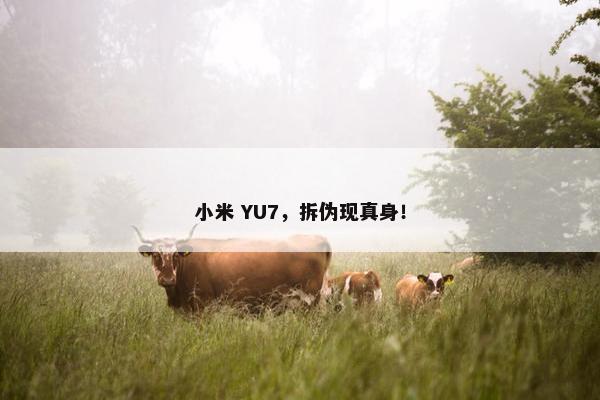 小米 YU7，拆伪现真身！