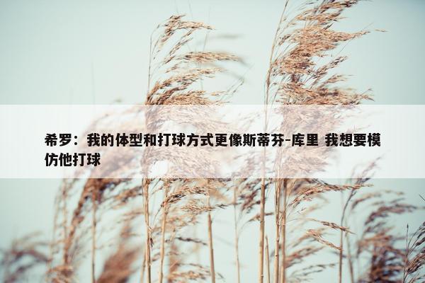 希罗：我的体型和打球方式更像斯蒂芬-库里 我想要模仿他打球