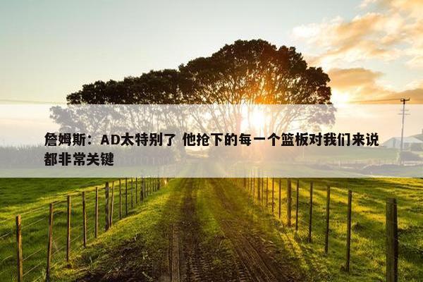 詹姆斯：AD太特别了 他抢下的每一个篮板对我们来说都非常关键