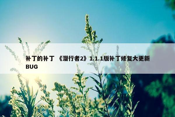 补丁的补丁 《潜行者2》1.1.1版补丁修复大更新BUG