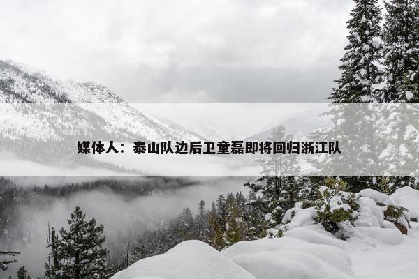 媒体人：泰山队边后卫童磊即将回归浙江队