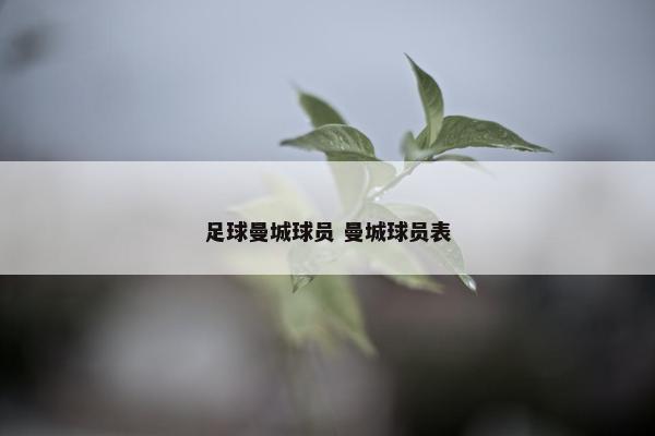 足球曼城球员 曼城球员表