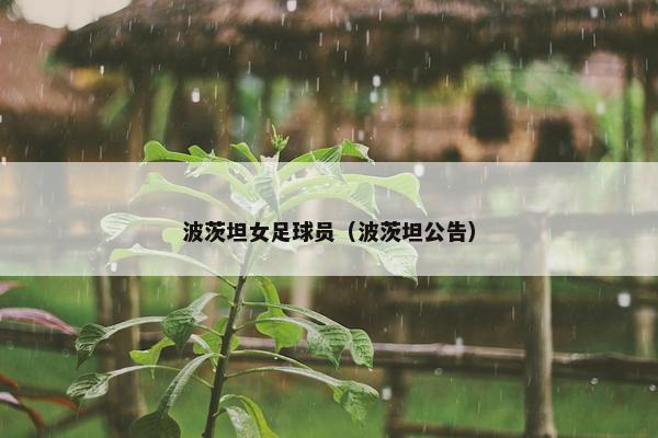 波茨坦女足球员（波茨坦公告）