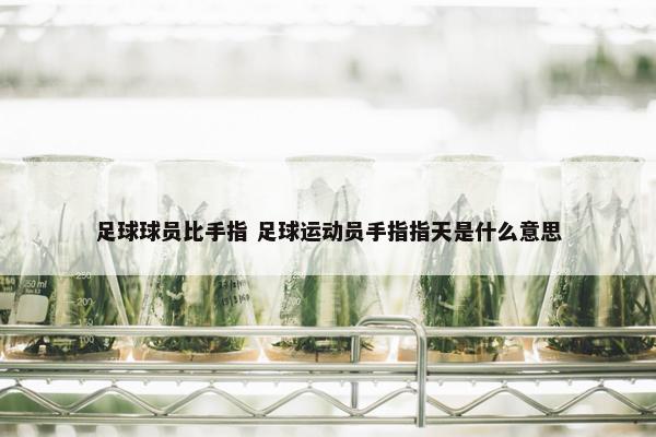 足球球员比手指 足球运动员手指指天是什么意思