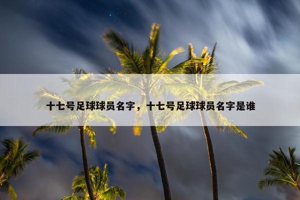 十七号足球球员名字，十七号足球球员名字是谁