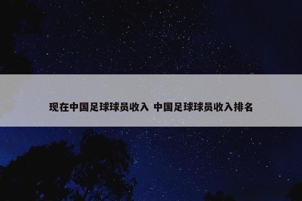 现在中国足球球员收入 中国足球球员收入排名