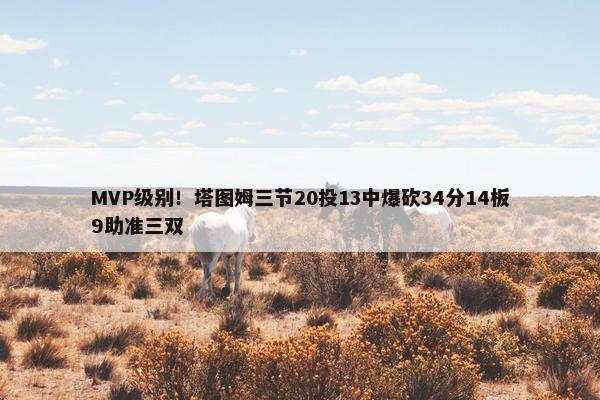 MVP级别！塔图姆三节20投13中爆砍34分14板9助准三双