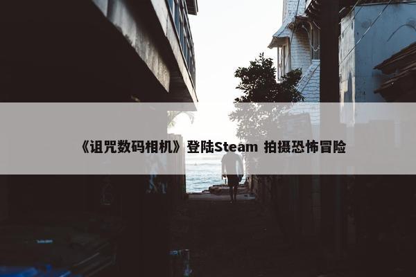 《诅咒数码相机》登陆Steam 拍摄恐怖冒险