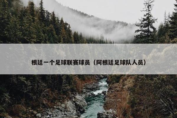 根廷一个足球联赛球员（阿根廷足球队人员）