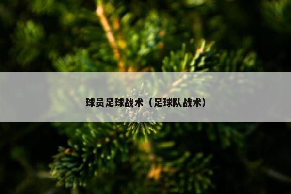 球员足球战术（足球队战术）