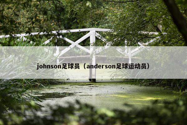 johnson足球员（anderson足球运动员）