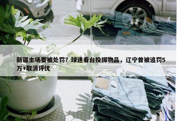 新疆主场要被处罚？球迷看台投掷物品，辽宁曾被追罚5万+取消评优