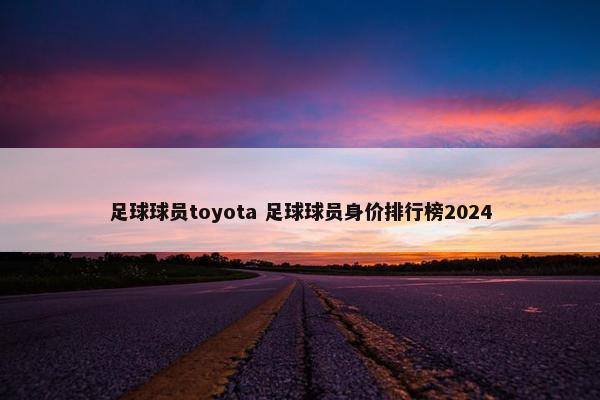 足球球员toyota 足球球员身价排行榜2024