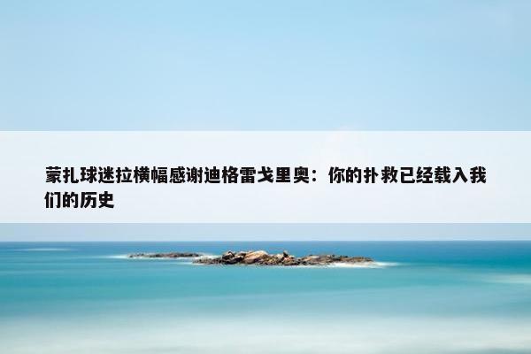 蒙扎球迷拉横幅感谢迪格雷戈里奥：你的扑救已经载入我们的历史