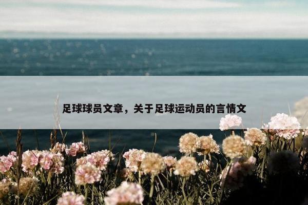 足球球员文章，关于足球运动员的言情文