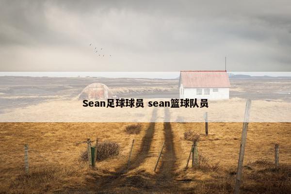 Sean足球球员 sean篮球队员