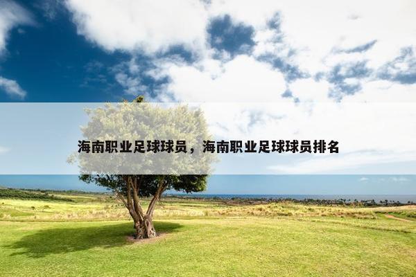 海南职业足球球员，海南职业足球球员排名