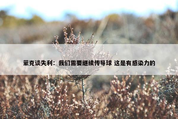 蒙克谈失利：我们需要继续传导球 这是有感染力的