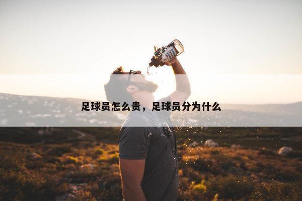 足球员怎么贵，足球员分为什么