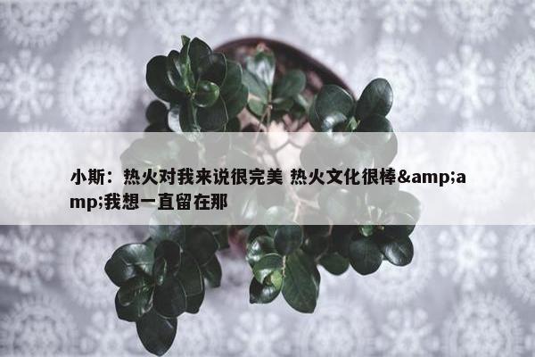 小斯：热火对我来说很完美 热火文化很棒&amp;我想一直留在那