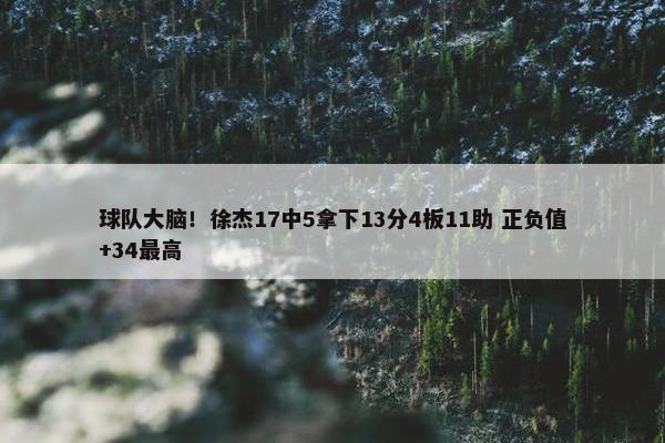 球队大脑！徐杰17中5拿下13分4板11助 正负值+34最高