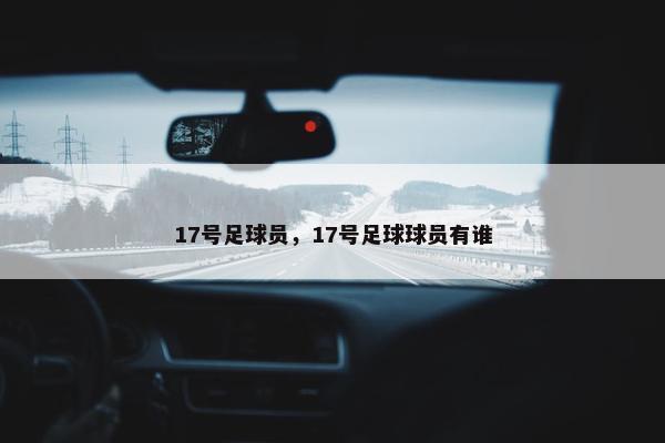 17号足球员，17号足球球员有谁