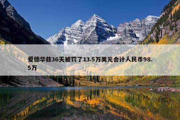 爱德华兹36天被罚了13.5万美元合计人民币98.5万