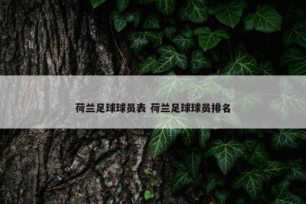 荷兰足球球员表 荷兰足球球员排名