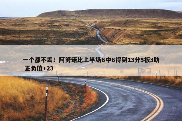 一个都不丢！阿努诺比上半场6中6得到13分5板3助 正负值+23