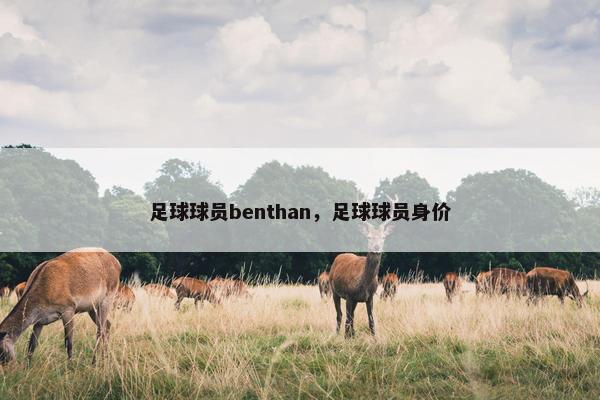 足球球员benthan，足球球员身价