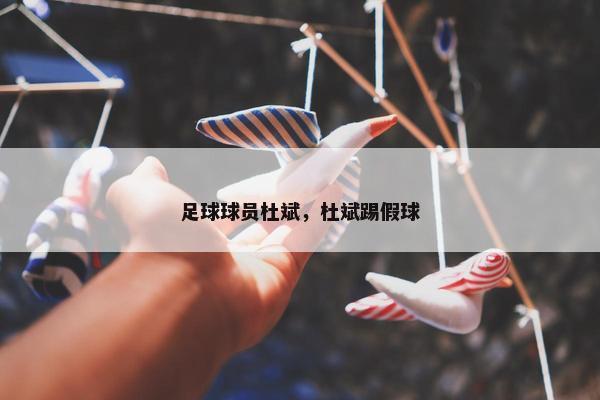 足球球员杜斌，杜斌踢假球