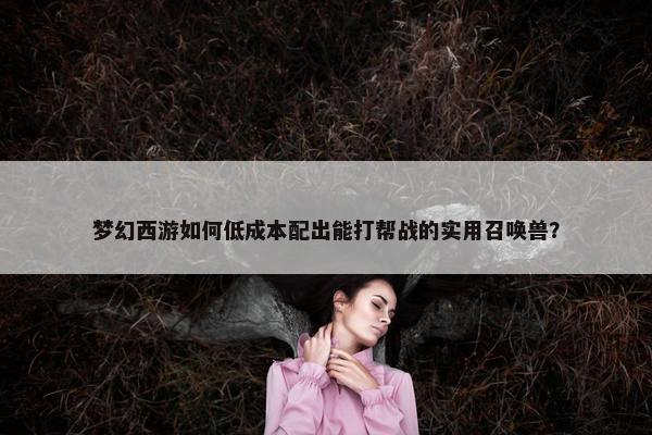 梦幻西游如何低成本配出能打帮战的实用召唤兽？