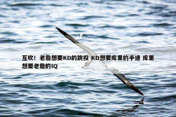 互吹！老詹想要KD的跳投 KD想要库里的手速 库里想要老詹的IQ