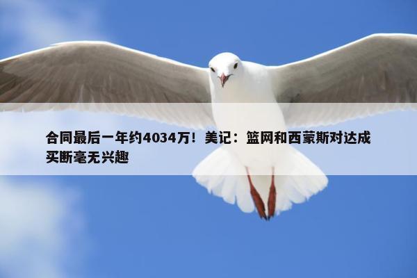 合同最后一年约4034万！美记：篮网和西蒙斯对达成买断毫无兴趣